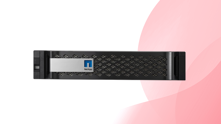 Macierz NetApp FAS 2520