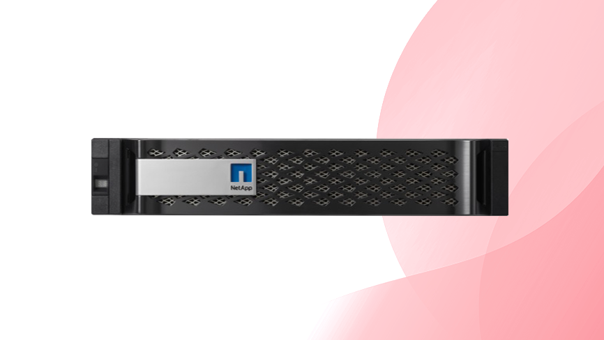Macierz NetApp FAS 2520