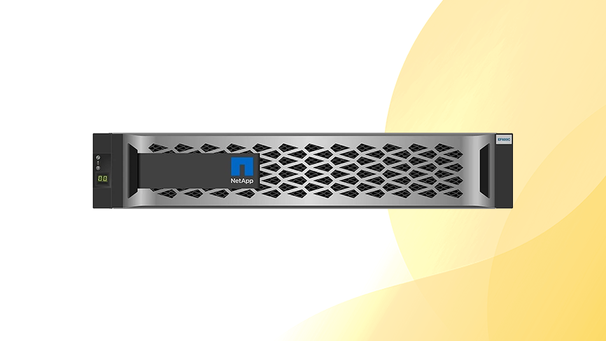 Macierz NetApp EF600