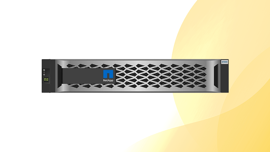 Macierz NetApp EF300