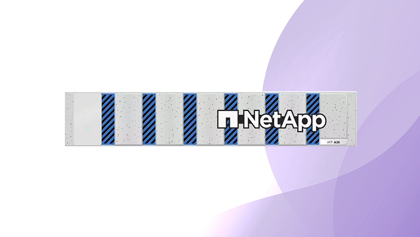 Macierz NetApp AFF A30
