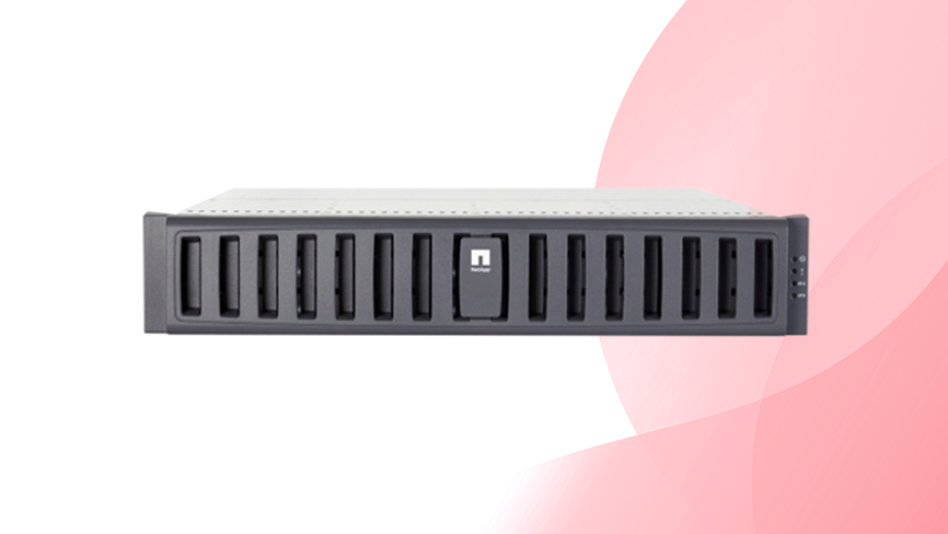 Macierze NetApp FAS 2020