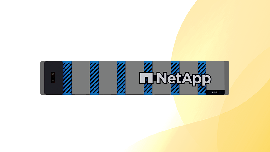 Macierz NetApp EF80