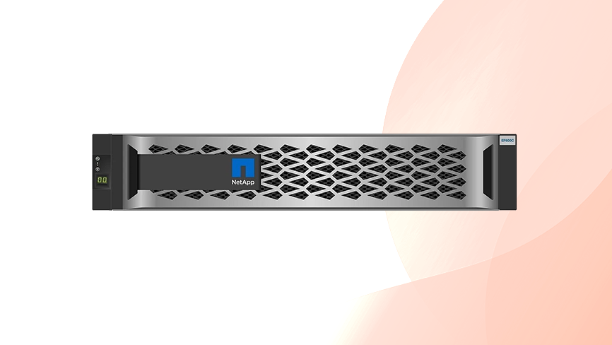 Macierz NetApp EF300C